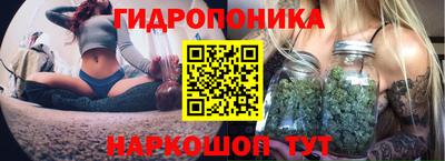 ГАЛЛЮЦИНОГЕННЫЕ ГРИБЫ Изобильный