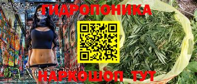 мдпв Ипатово